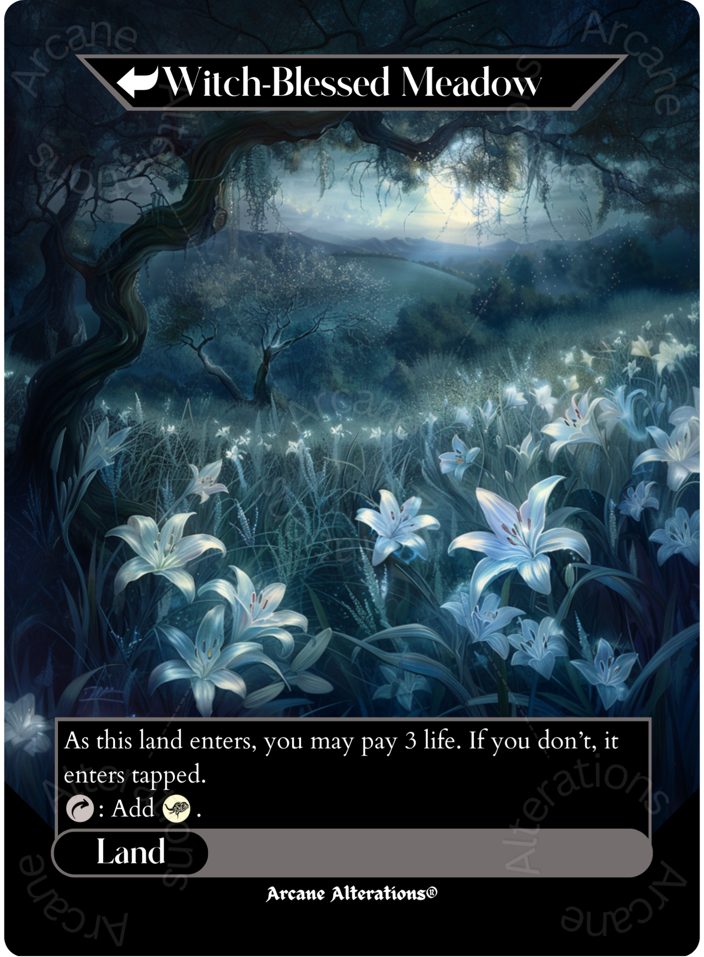 Witch Enchanter / Witch-Blessed Meadow - Full Art Altered Art Custom Proxy Cards